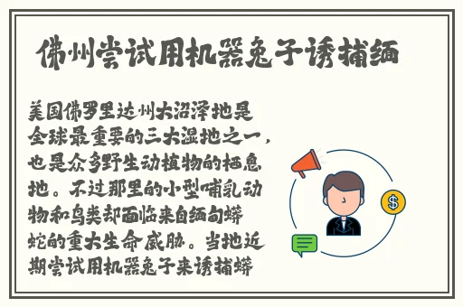 国产久9视频这里只有精品